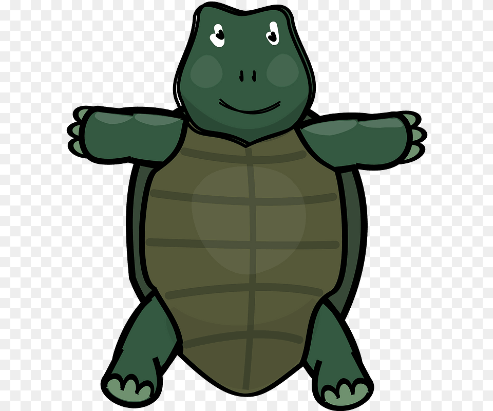 Cute Turtle Clipart Cartoon, Animal, Reptile, Sea Life, Tortoise Png