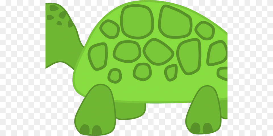 Cute Turtle Clipart Turtle Clip Art Transparent, Green, Animal, Reptile, Sea Life Png Image
