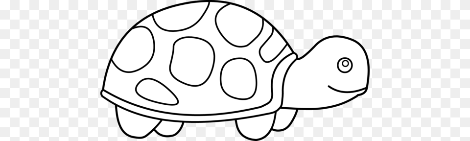 Cute Turtle Coloring, Animal, Reptile, Sea Life, Tortoise Free Png Download