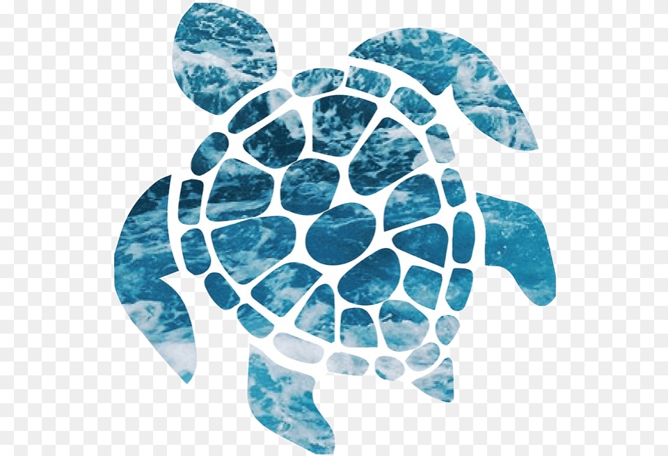 Cute Turtle Ocean Blue Pretty Sticker Niche Aesthetic Vsco Sticker Turtle, Animal, Reptile, Sea Life, Sea Turtle Free Png Download