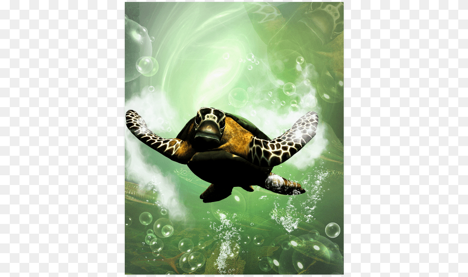 Cute Turtle Poster 16 X20 Hawksbill Sea Turtle, Animal, Reptile, Sea Life, Tortoise Free Png Download