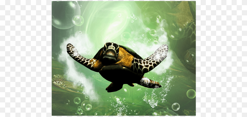 Cute Turtle Poster 20 X16 Hawksbill Sea Turtle, Animal, Reptile, Sea Life, Tortoise Free Transparent Png
