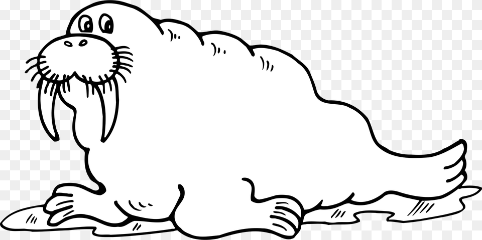 Cute Walrus Black And White Walrus Clipart Black And White, Animal, Mammal, Sea Life, Fish Free Png