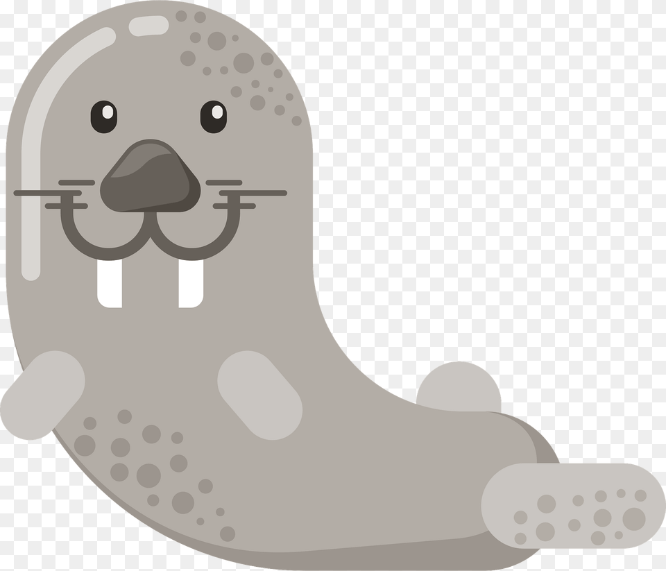 Cute Walrus Clipart, Animal, Mammal, Sea Life, Sea Lion Free Transparent Png