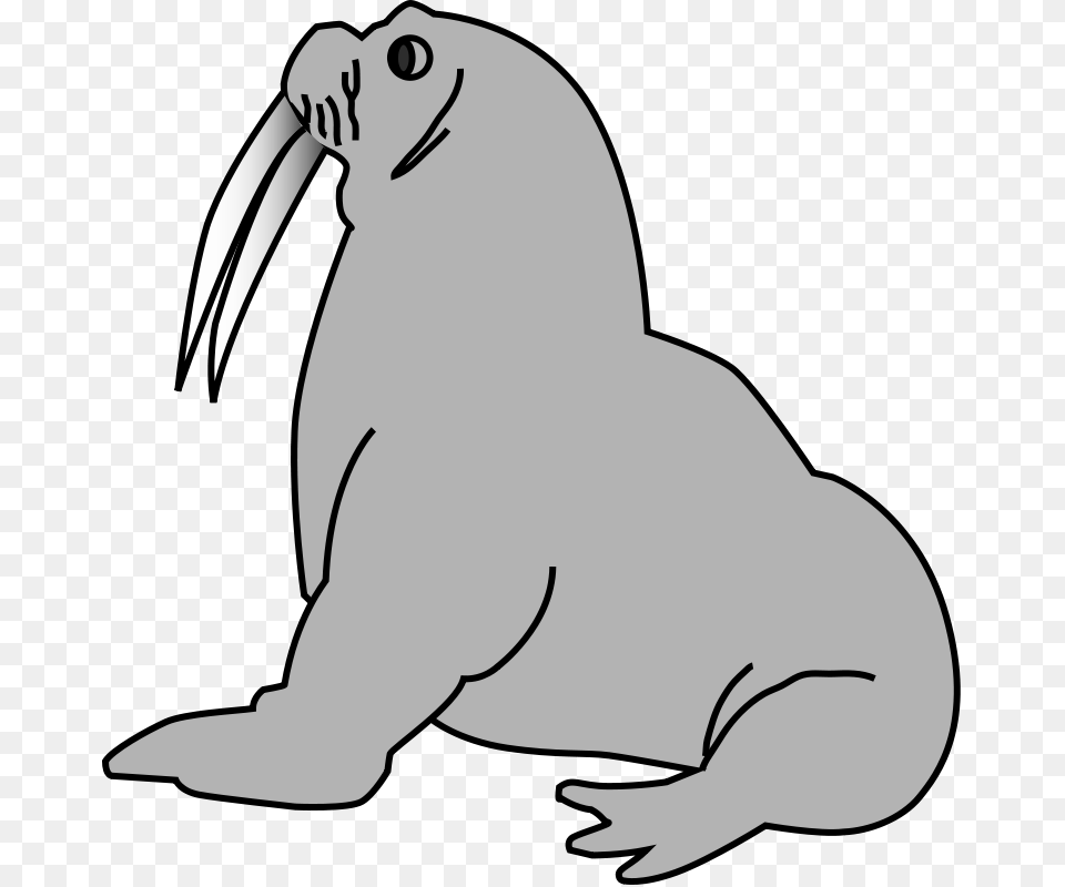 Cute Walrus Clipart Black And White Free, Animal, Fish, Sea Life, Shark Png