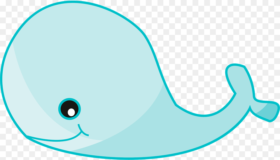 Cute Whale Clipart, Animal, Beluga Whale, Mammal, Sea Life Free Transparent Png