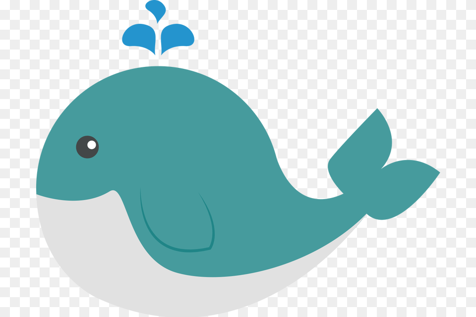 Cute Whale Hd, Animal, Beluga Whale, Fish, Mammal Free Transparent Png