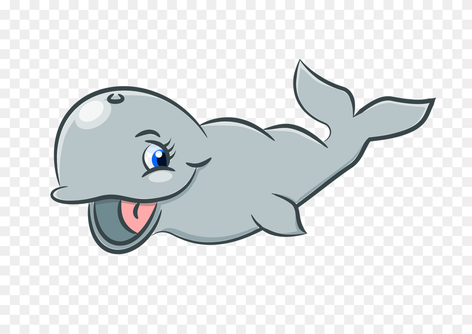 Cute Whale Pictures, Animal, Fish, Sea Life, Shark Free Png Download