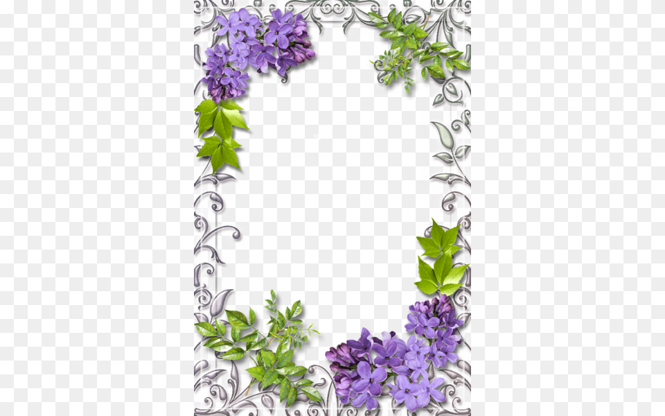 Cute White Frame With Lilac Borders And Frames Borders Lilac Frame, Flower, Plant, Purple Png