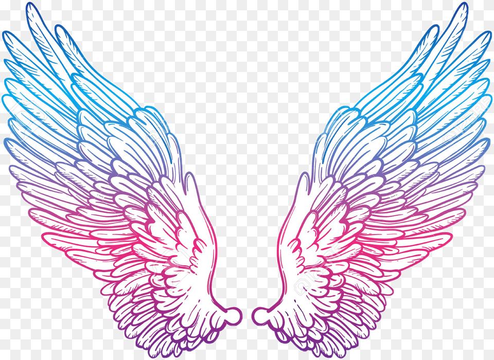 Cute Wing Transparent Cute Wings, Angel, Animal, Bird Free Png