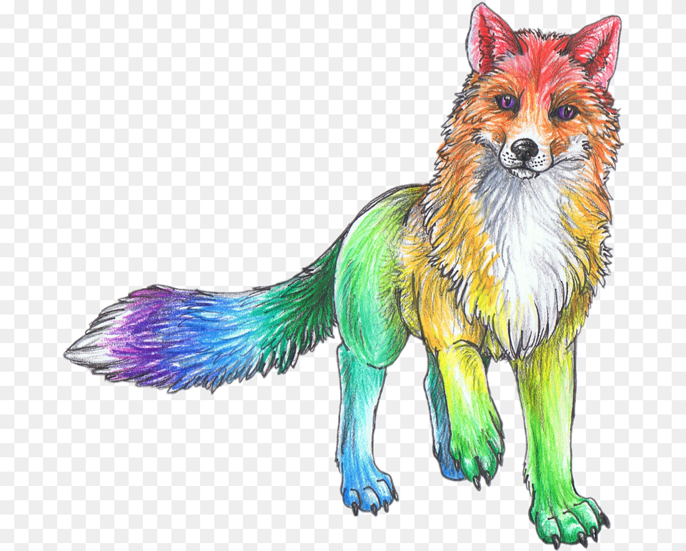 Cute Wolf Cute Animal Drawings, Fox, Mammal, Wildlife, Canine Png