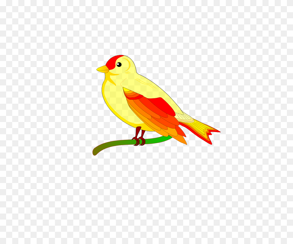 Cute Yellow Bird Clip Art, Animal, Finch, Canary Png