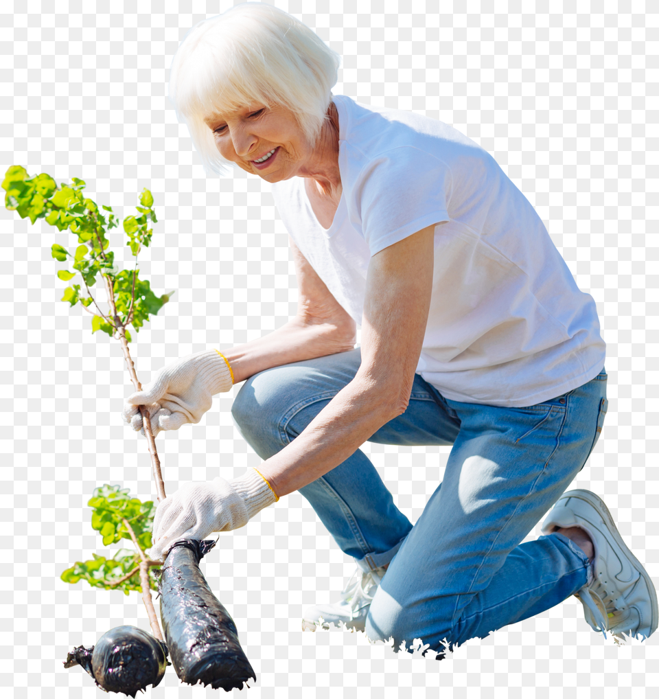 Cutout Elder Woman Planting Treegarden Activity People Planting Cut Out, Outdoors, Nature, Person, Glove Free Transparent Png