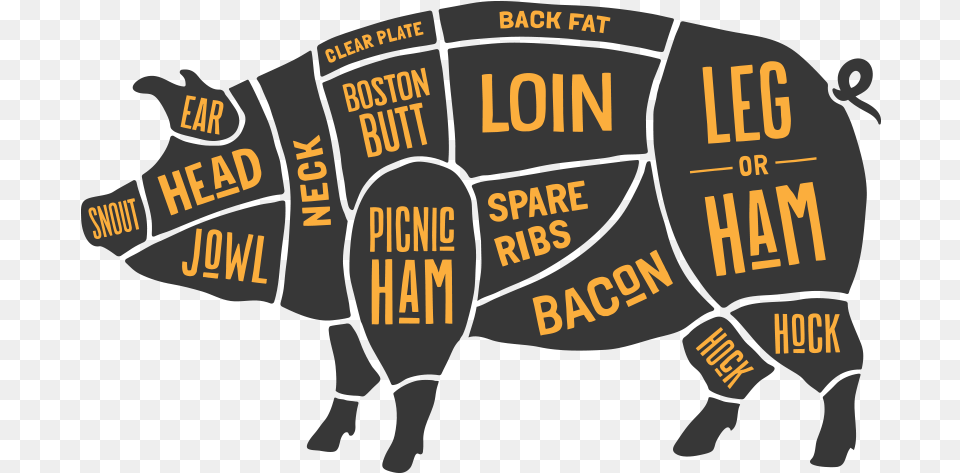 Cuts Of Pork Transparent Cartoon Cuts Of Pork, Animal, Hog, Mammal, Pig Free Png
