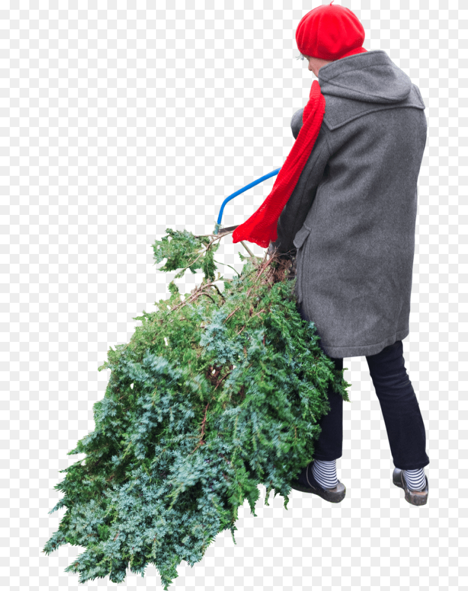 Cuts Tree Image Purepng Transparent Cc0 Cut Out People Christmas, Clothing, Person, Outdoors, Nature Free Png