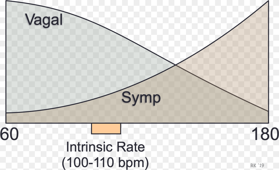 Cv Physiology Control Of Heart Rate Vertical, Triangle, Nature, Outdoors, Text Free Png