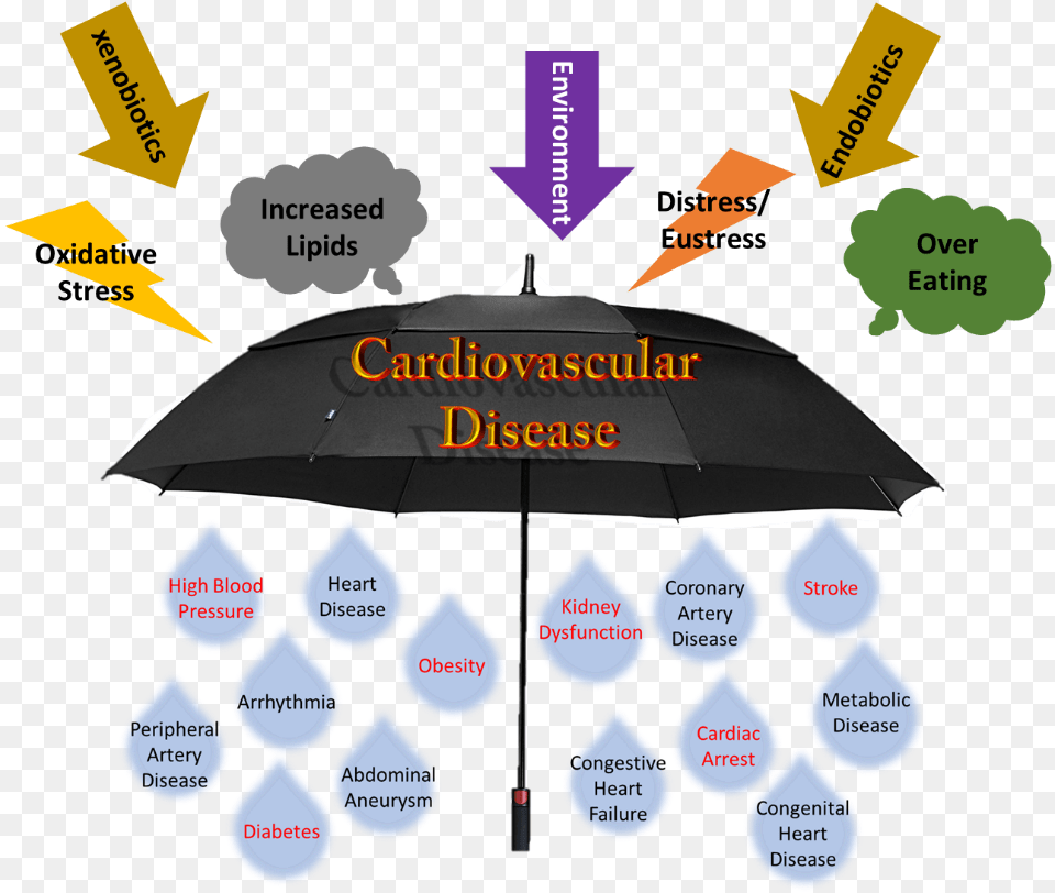 Cvd Umbrella Coronary Artery Disease Umbrella, Canopy Png Image