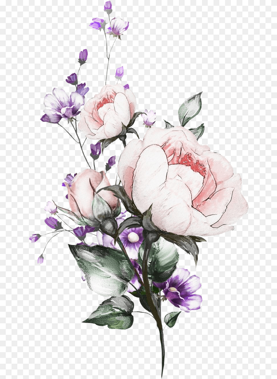 Cveti Akvarelnie, Rose, Plant, Flower, Flower Arrangement Png Image