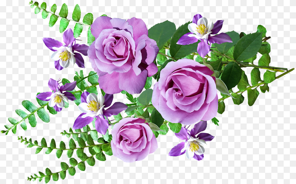 Cveti Flores Imagenes De Helechos, Flower, Flower Arrangement, Flower Bouquet, Plant Free Png