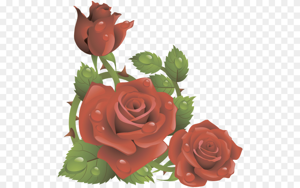 Cveti Krasnaya Roza Zelenij List Rose Flowers Wallpaper 3d, Plant, Flower, Flower Bouquet, Flower Arrangement Png
