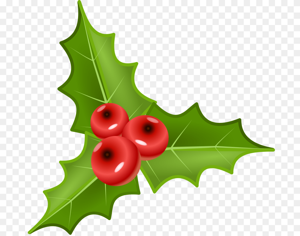 Cyb Houx Holly, Leaf, Plant, Food, Fruit Free Transparent Png