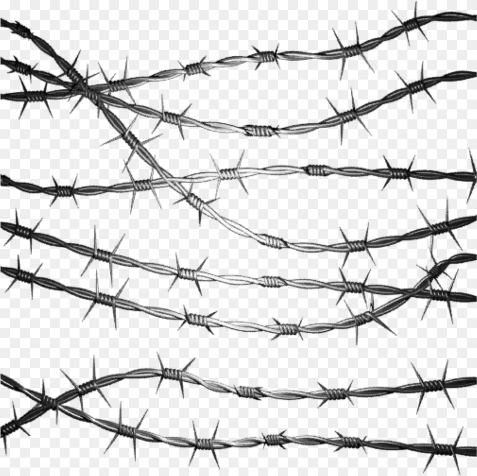 Cyber Punk Cyberpunk Metal Steel Wire Barbedwire Barbed Wire, Barbed Wire, Plant Free Png