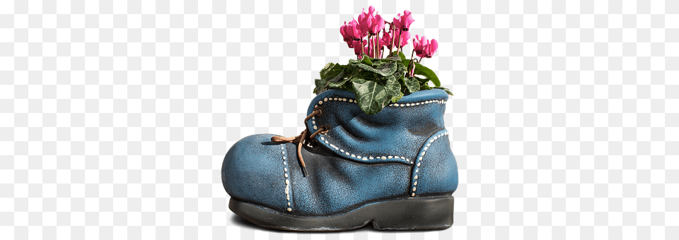 Cyclamen Shoe, Potted Plant, Clothing, Plant Free Transparent Png