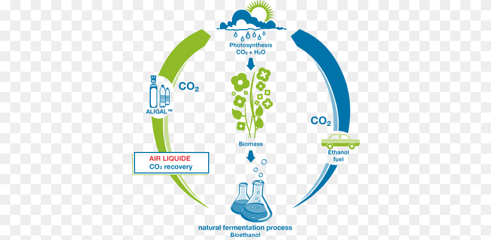 Cycle Co2 Cycle For Bioethanol, Art, Graphics, Outdoors Free Transparent Png