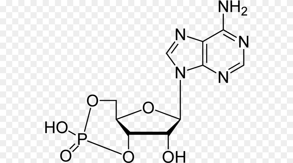 Cyclic Adenosine Monophosphate 2d Skeletal Happiness Molecule Serotonin Molecule Necklace For, Gray Free Png Download