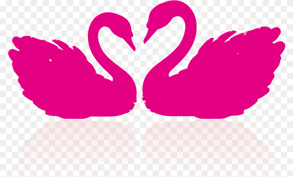 Cygnini Drawing Clip Art Swan Couple Clipart, Animal, Bird, Flamingo, Baby Png