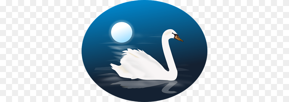 Cygnus Swan Animal Bird Blue Moon Nature N Swan Clipart, Astronomy, Night, Outdoors Png Image