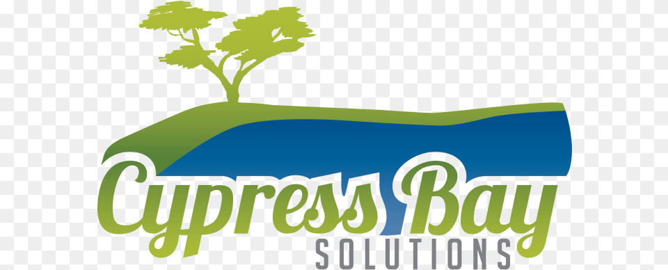 Cypress Bay Solutions Everybody Walk, Tree, Plant, Vegetation, Potted Plant Free Transparent Png