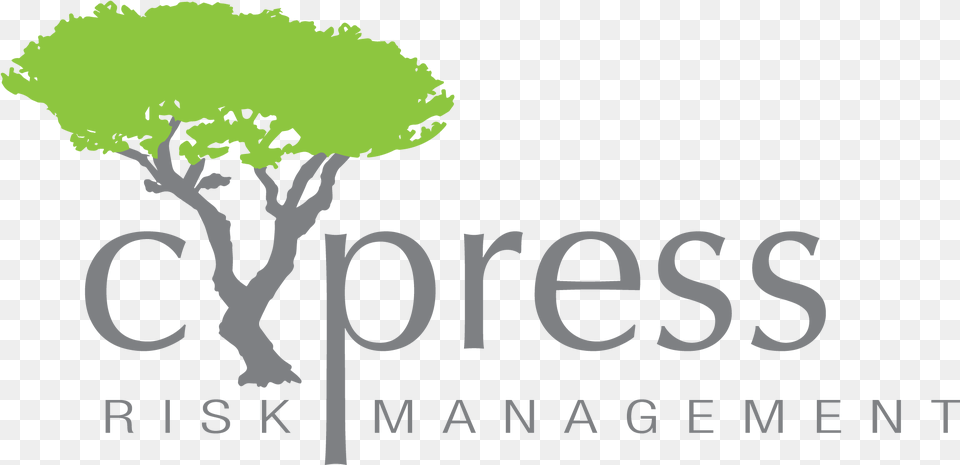 Cypress Logo2017 Does Class Matter Social Stratification And Orientations, Plant, Tree, Vegetation, Text Png Image