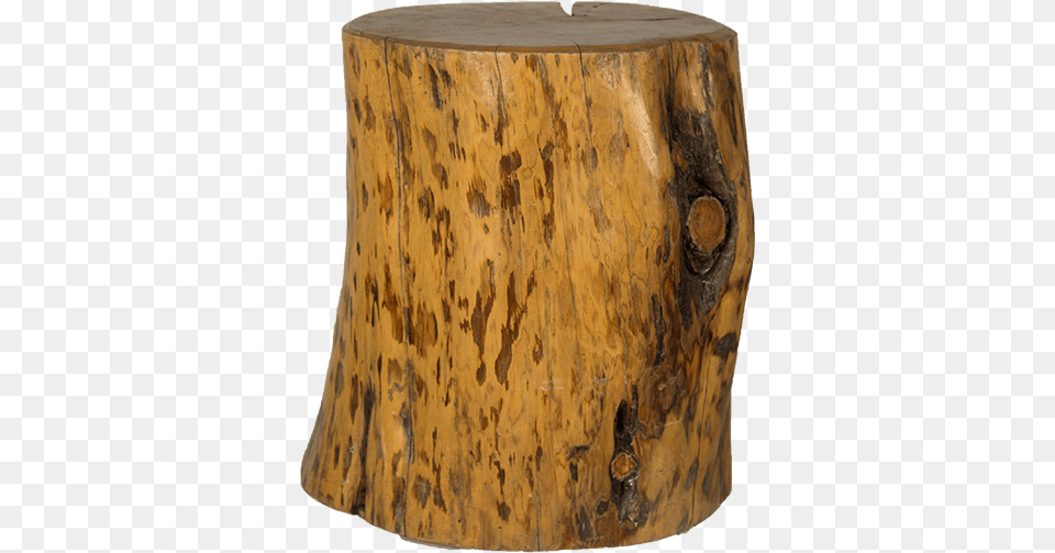 Cypress Stump Side Table, Plant, Tree, Wood, Tree Stump Free Png Download