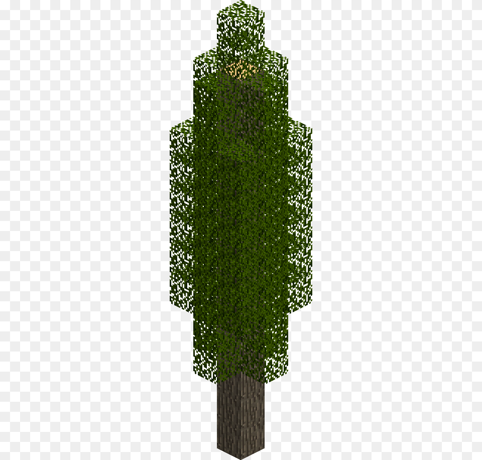 Cypress Tree Colorfulness, Plant, Potted Plant, Pottery, Jar Png