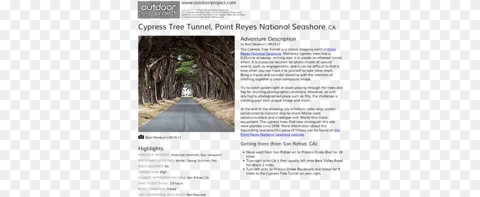 Cypress Tree Tunnel Outdoor Project Tree, City, Path, Plant, Road Png