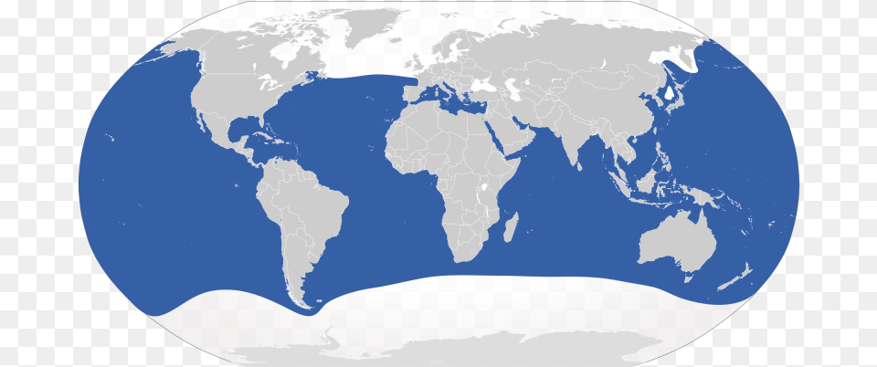 Cypron Range Carcharodon Carcharias Blue Shark Habitat Map, Astronomy, Outer Space, Planet, Globe Free Png