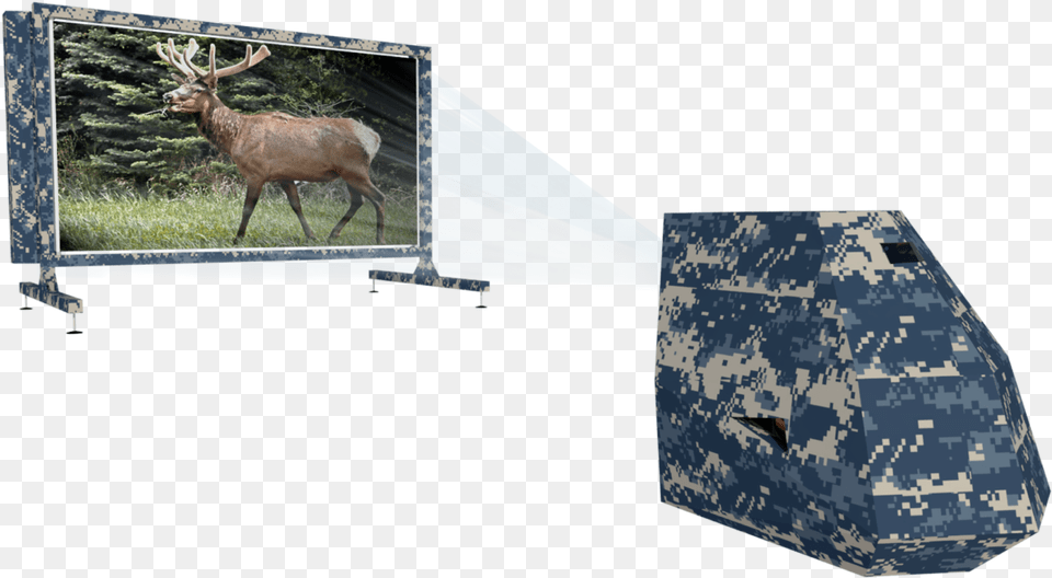 Cyrus Targets Deer Reindeer, Animal, Elk, Mammal, Wildlife Free Png Download