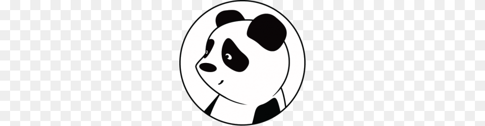 Cystic Fibrosis Cough Monitor Little Panda Bear, Stencil Free Transparent Png
