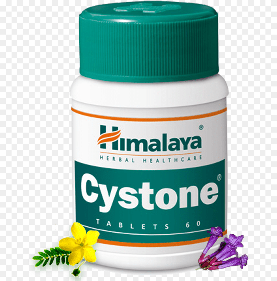 Cystone Tablets Cystone Tablet, Herbal, Herbs, Plant, Flower Free Png Download