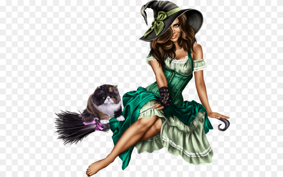 Czarownica I Kot Na Miotle Beautiful Witch Transparent, Publication, Book, Hat, Clothing Png Image