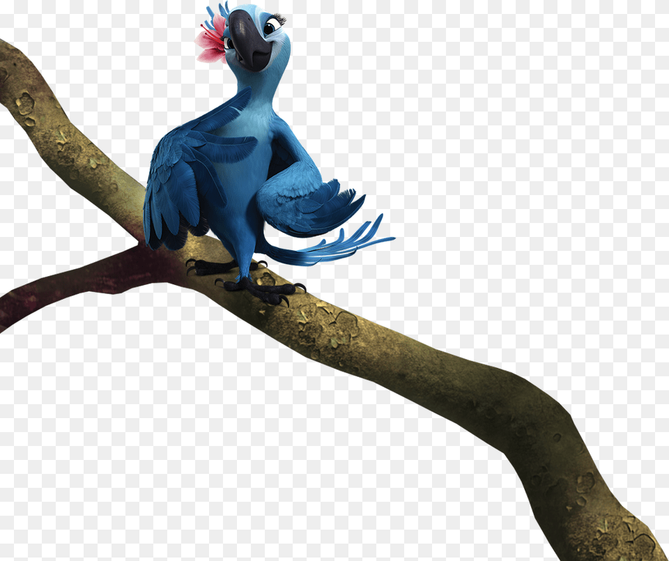 D V 2 7 606 0 Kb Jewel Rio Jewel, Animal, Bird, Penguin, Jay Png Image