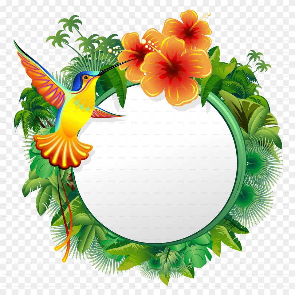 D Tropical Flowers Frames Free Png Download