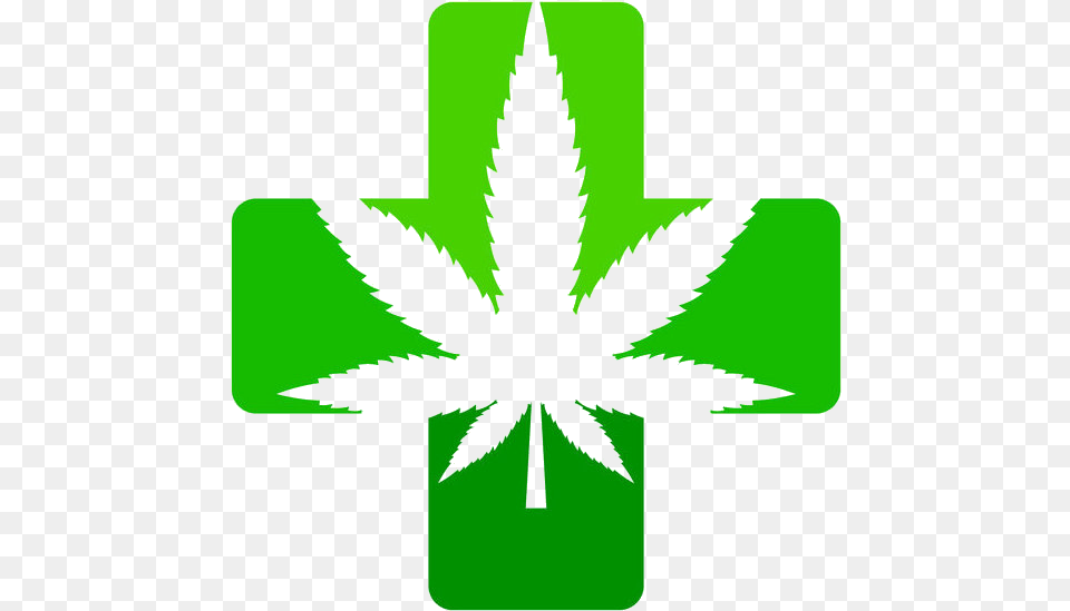 D Cannabis, Plant, Weed, Leaf, Person Free Png