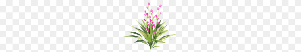 D Na Iandeks Fotkakh Fairy, Flower, Flower Arrangement, Plant, Art Free Transparent Png