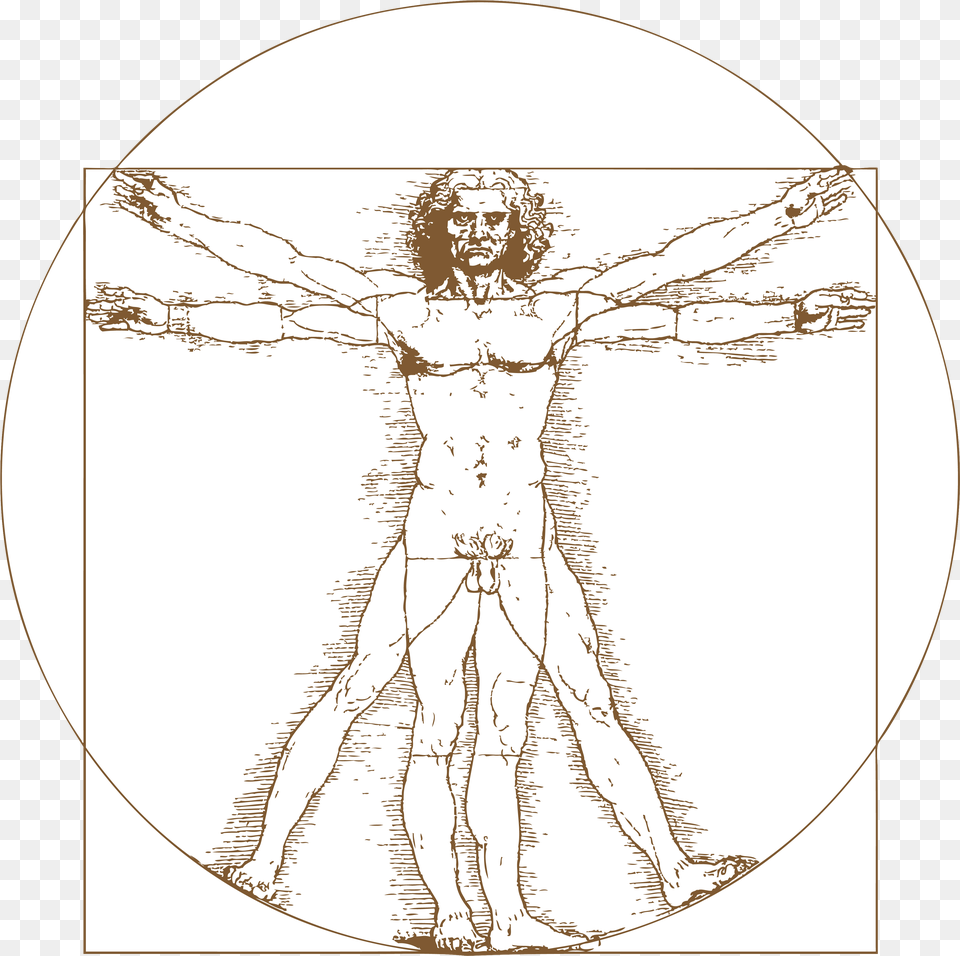 Da Vinci Hd Leonardo Da Vinci The Vitruvian Man, Cross, Symbol, Adult, Wedding Free Png Download