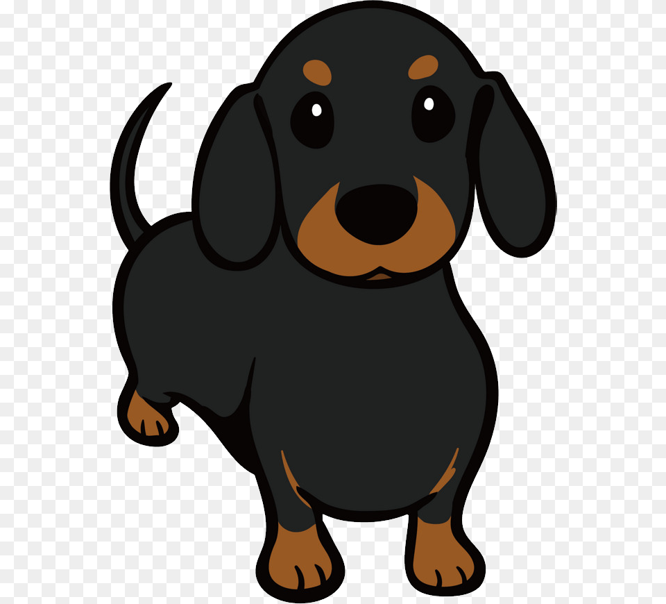 Dachshund, Animal, Canine, Dog, Mammal Png Image