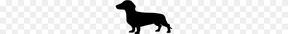 Dachshund, Gray Png