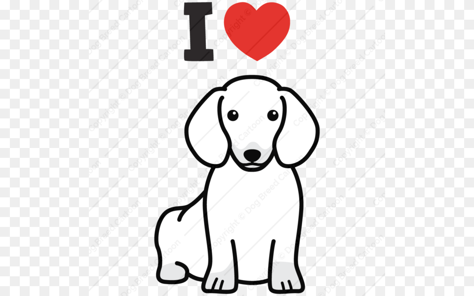 Dachshund, Animal, Puppy, Canine, Dog Free Transparent Png