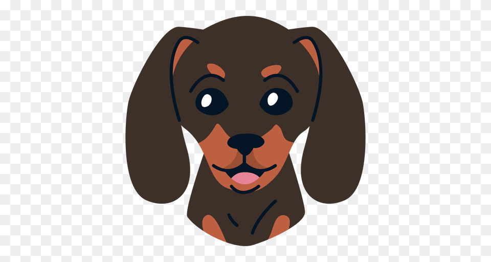 Dachshund, Snout, Puppy, Pet, Mammal Png